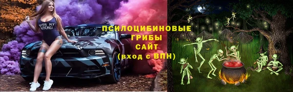 a pvp Алексеевка